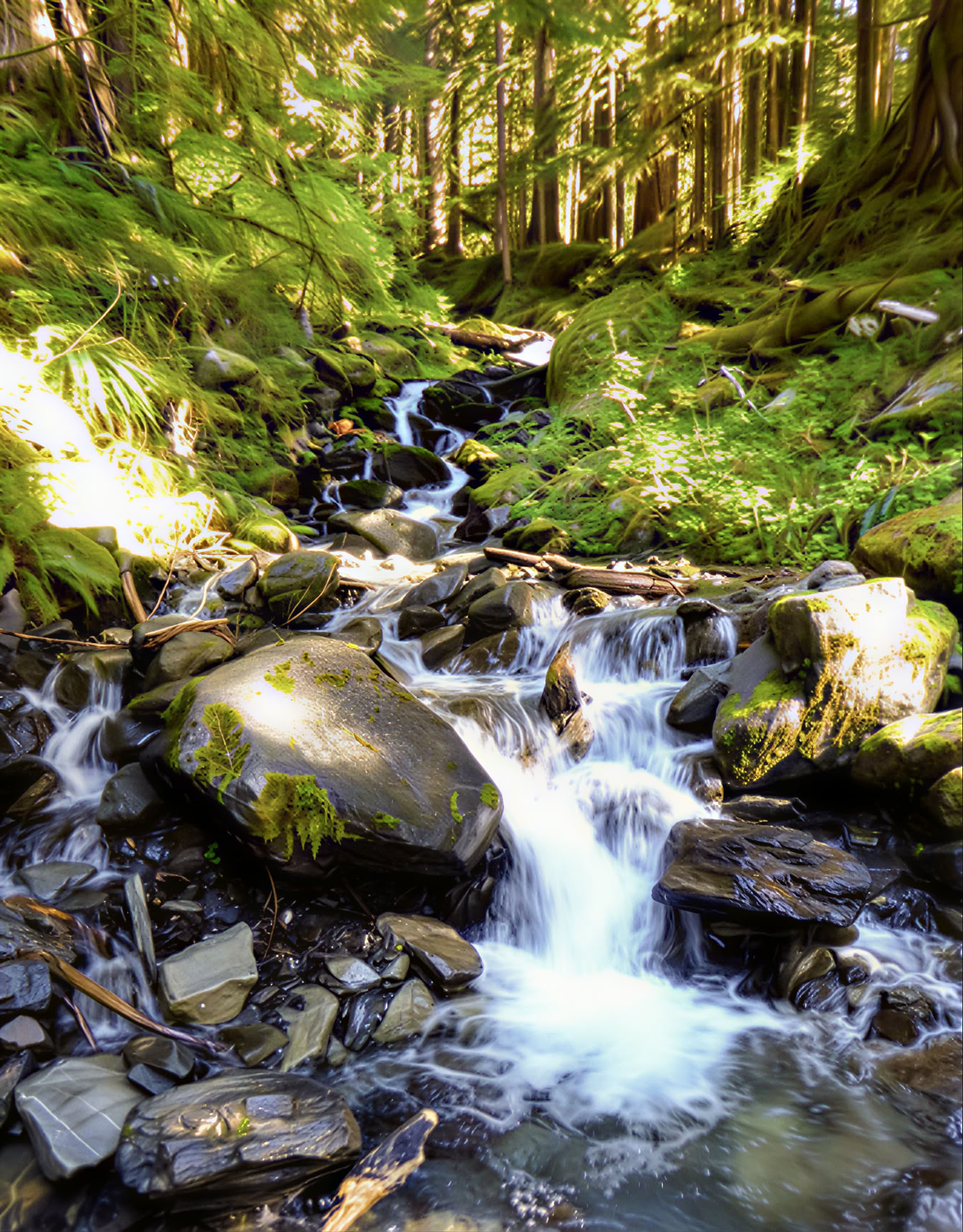 Retraite de yoga, randonnée et guérison à Fox Creek Falls