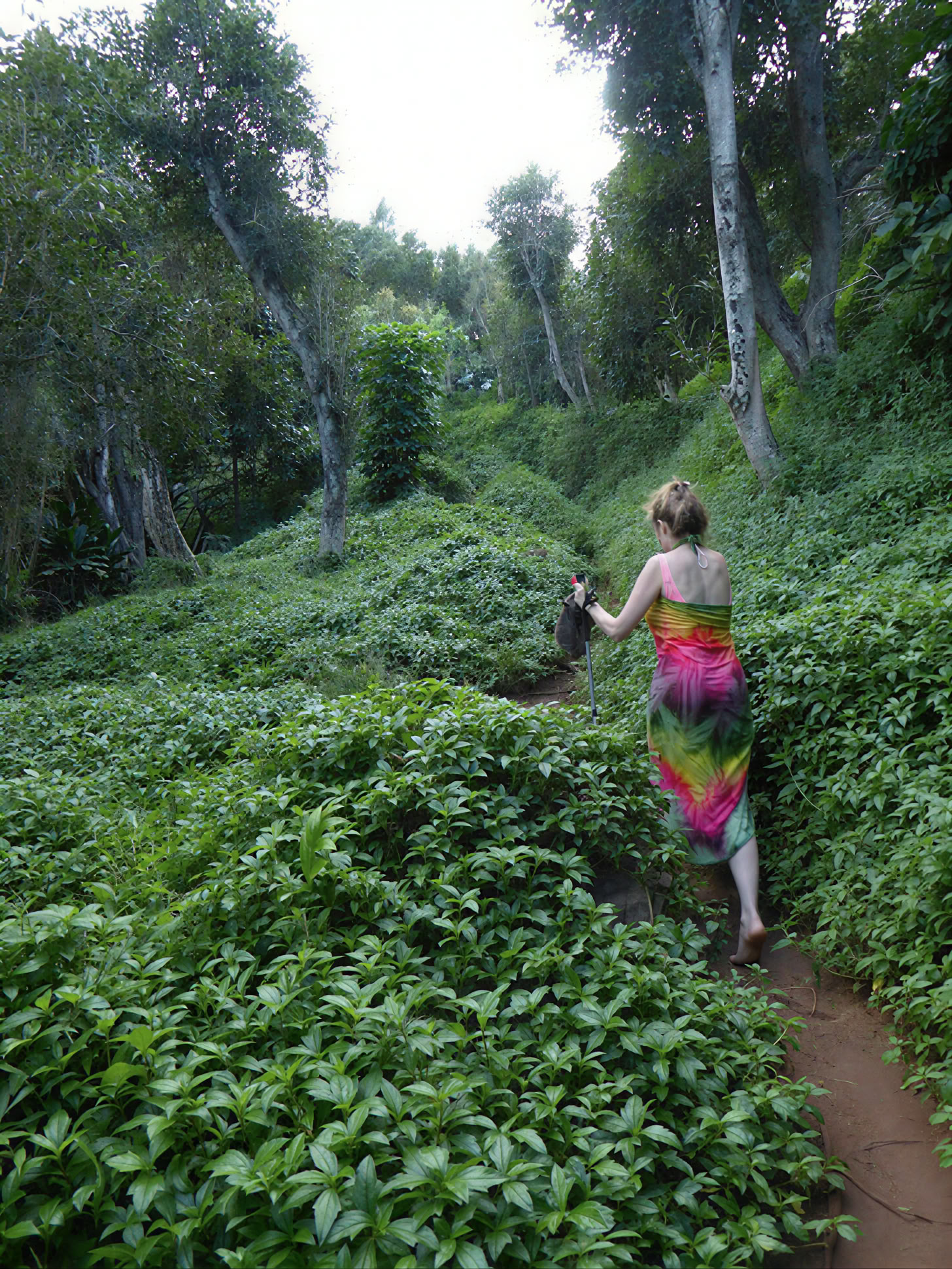 Retraite de yoga à Kauai, Hawaï