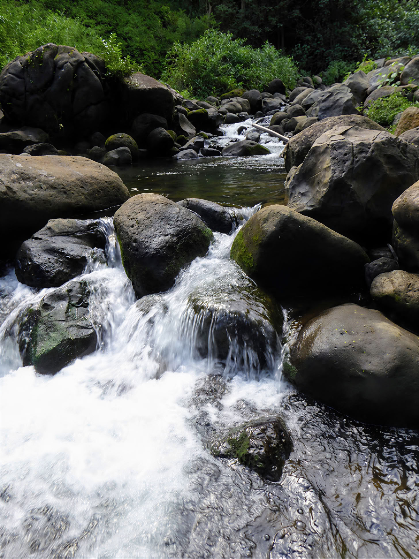 Retraite de yoga à Kauai, Hawaï