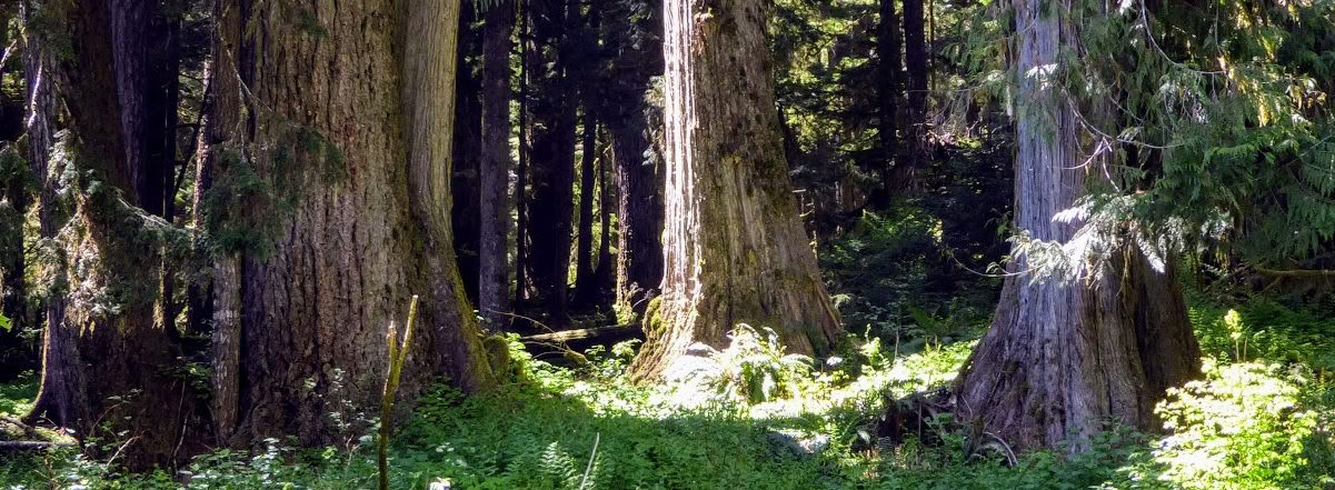 Retraite de guérison à Frog Creek, WA