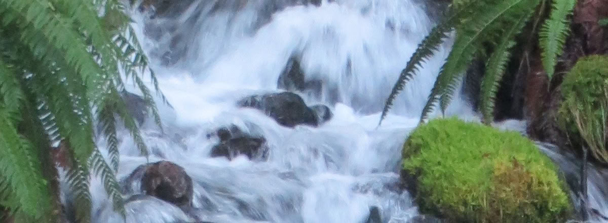 Retraite de guérison à Frog Creek, WA