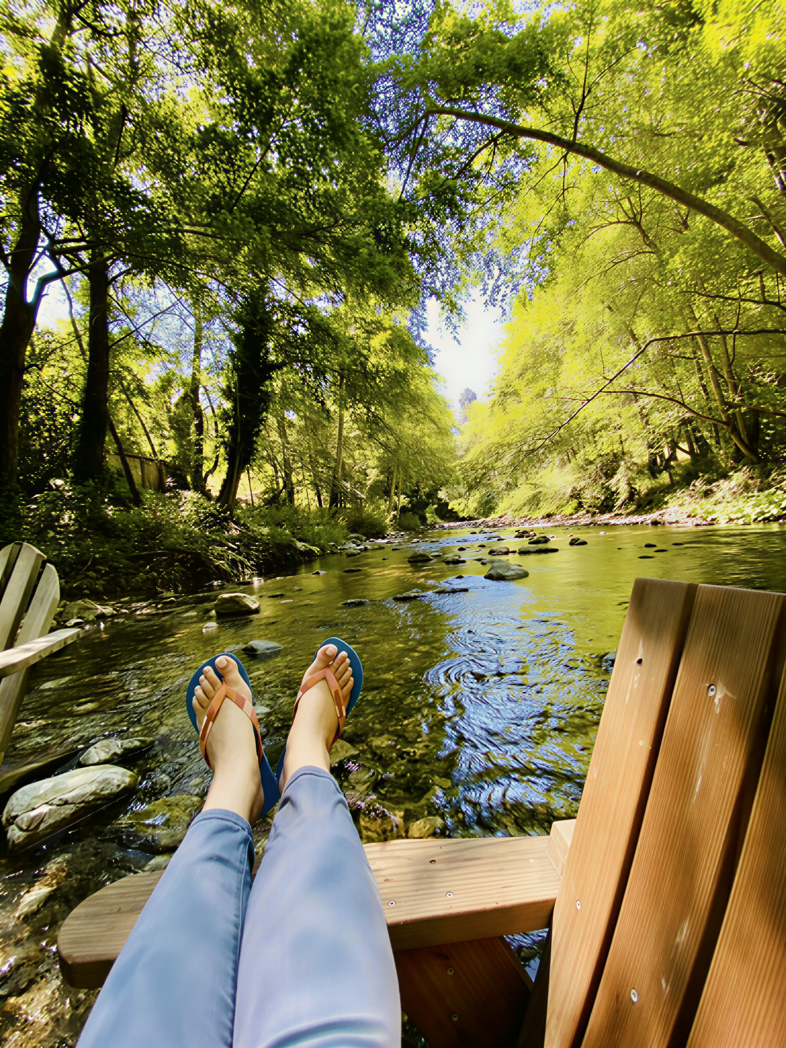 Coaching en résilience au stress