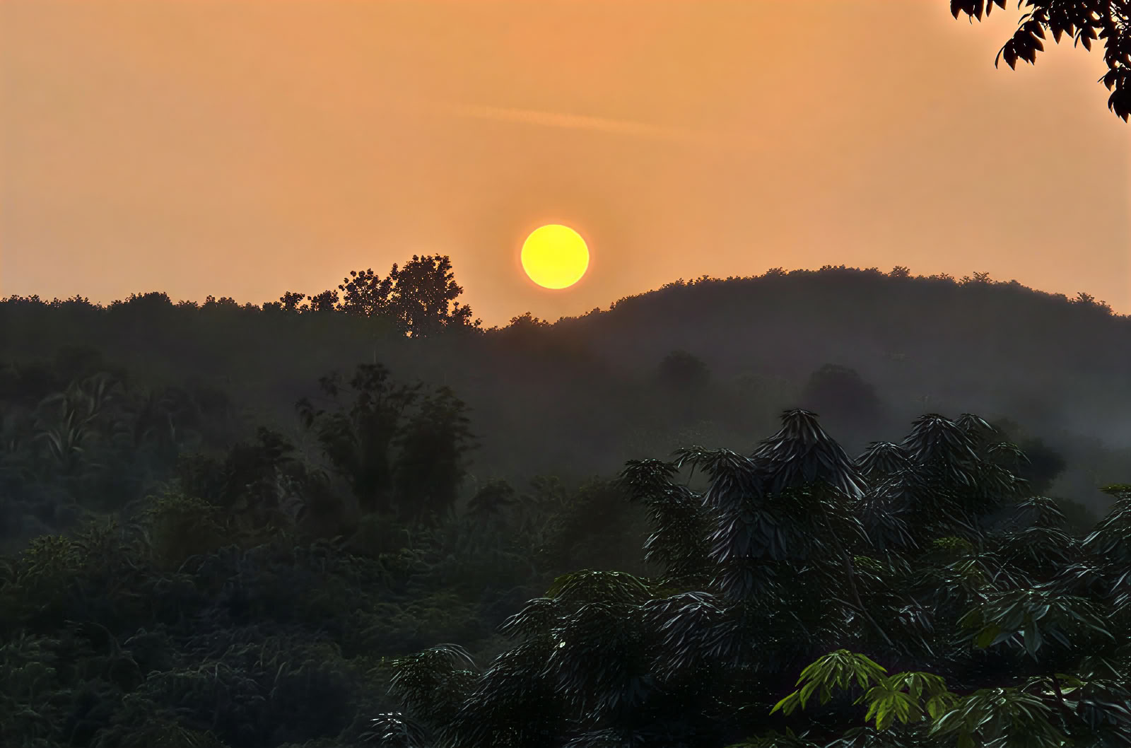 Retraite bien-être au Kerala