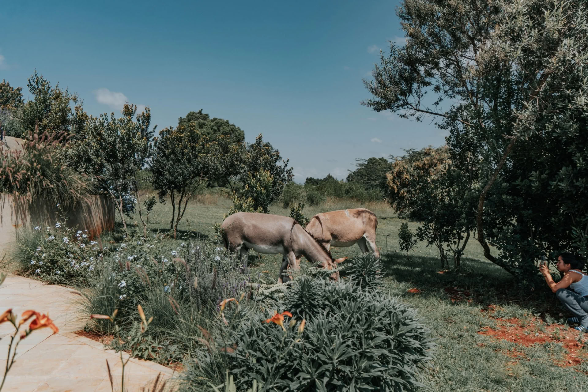 Se reconnecter, se reposer et renouer avec la nature