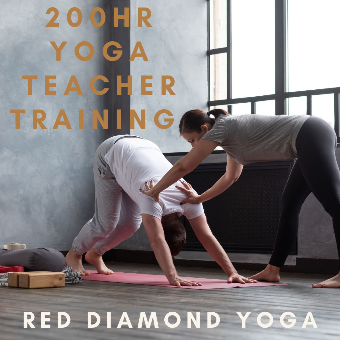 Formation de professeur de Vinyasa YTT de 200 heures, certifiée Yoga Alliance