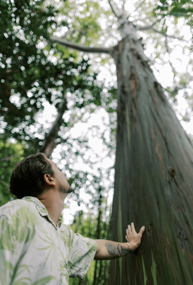 Expérience de bain de forêt (Shinrin-Yoku) : un voyage guidé de paix et de bien-être