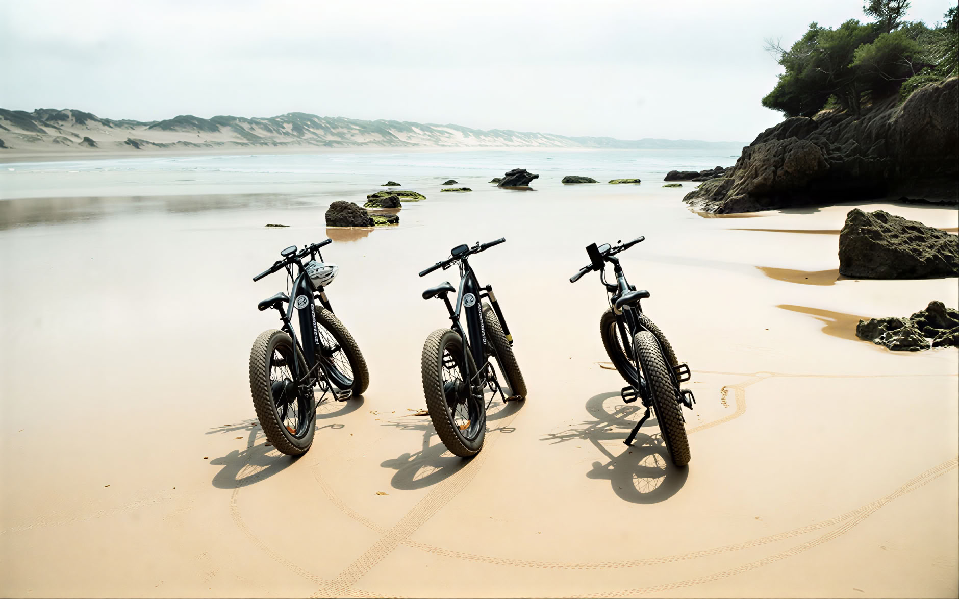 Tour en vélo électrique