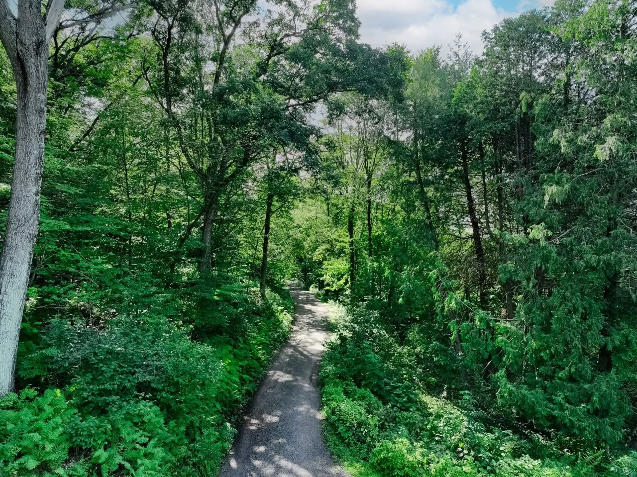 Marcher sur le chemin vers votre meilleure vie — retraite du lac Osceola