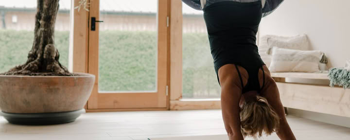 Atelier de yoga aérien et de trapèze pour niveaux intermédiaires avec Jane et Zoe