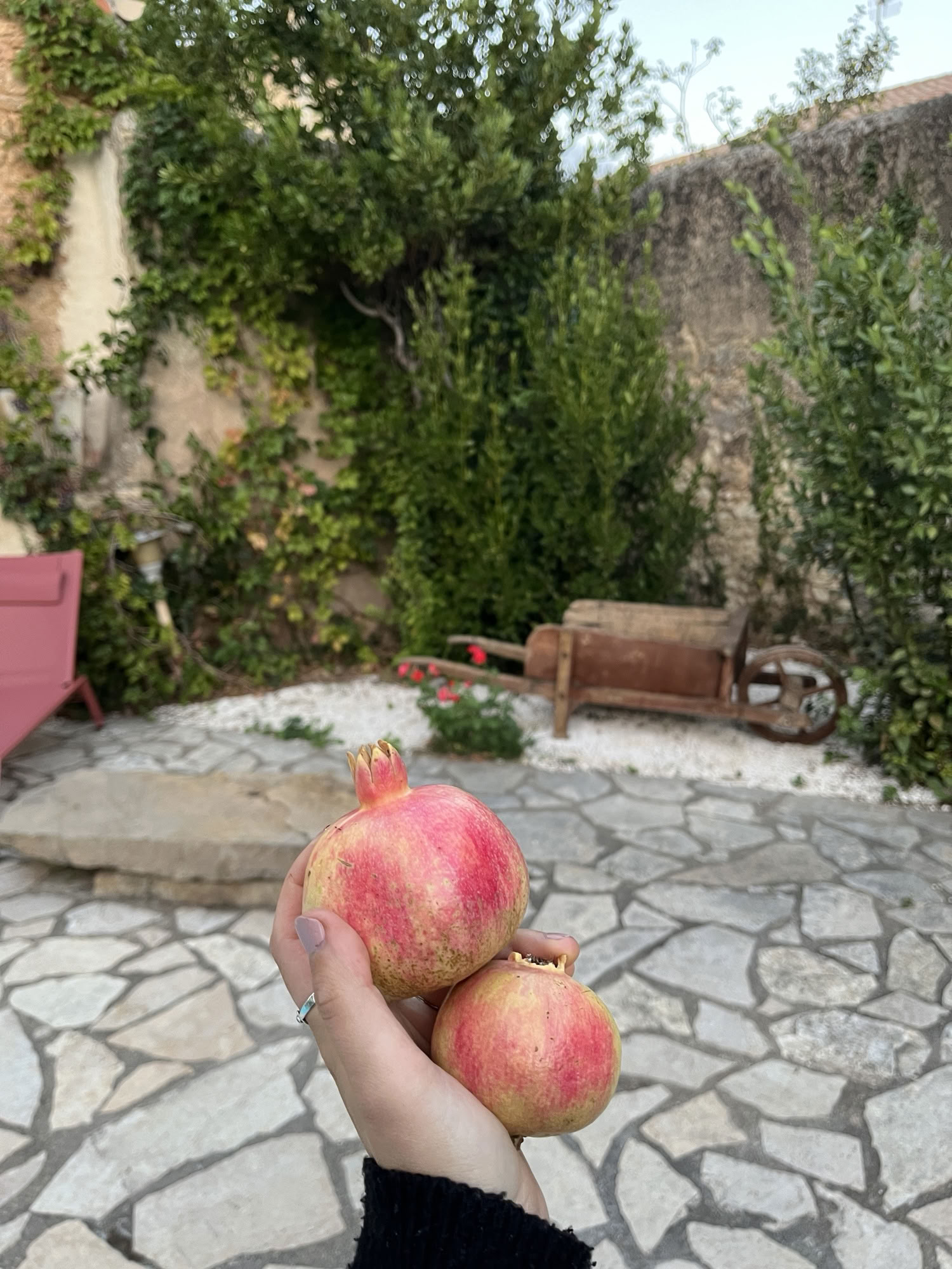 Réveillez votre rayonnement intérieur : retraite de yoga et de méditation dans le sud de la France