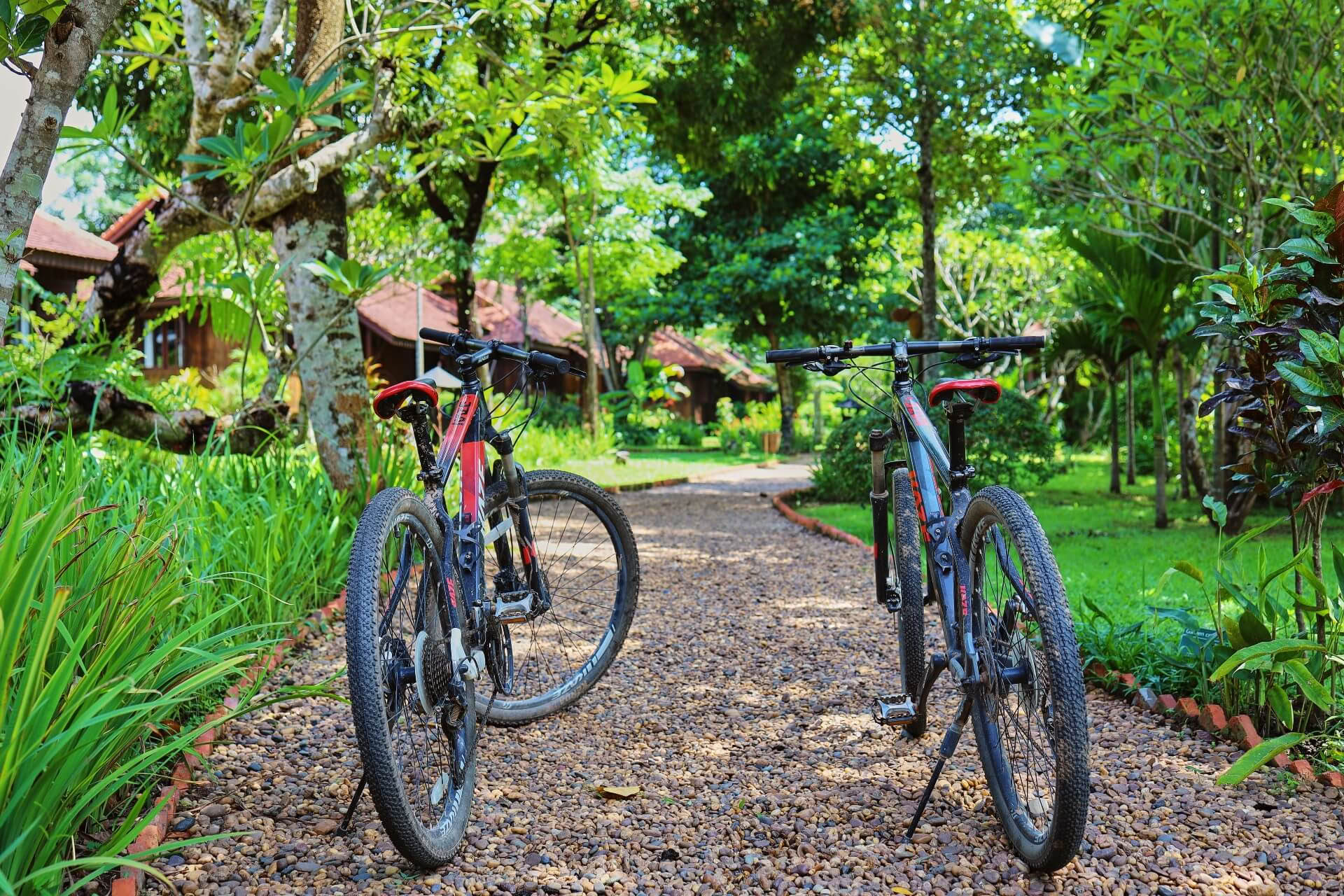 Tour à vélo