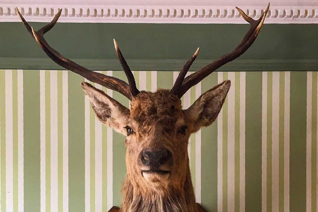 Détente à Rannoch