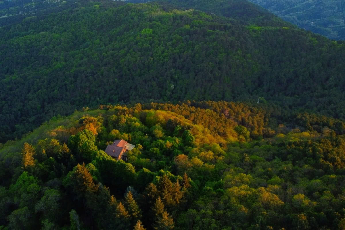 RYT 200 heures · Toscane, Italie · Certifié Yoga Alliance