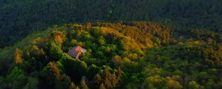 RYT 200 heures · Toscane, Italie · Certifié Yoga Alliance