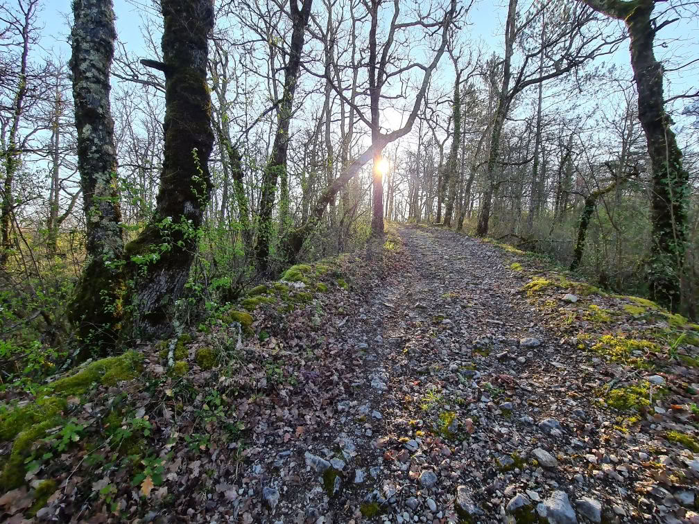 Détox, yoga et bien-être