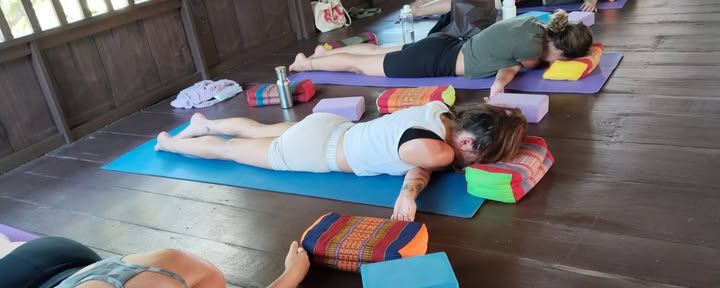 Formation de professeur de yoga de 200 heures – du 14 au 24 janvier 2027