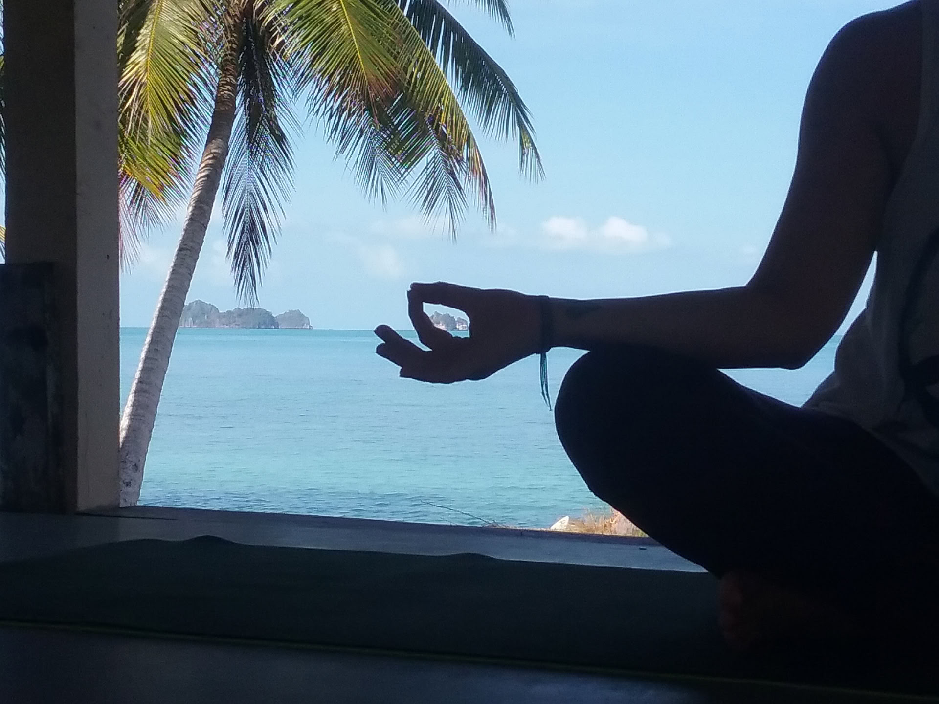 Formation de professeur de yoga de 200 heures