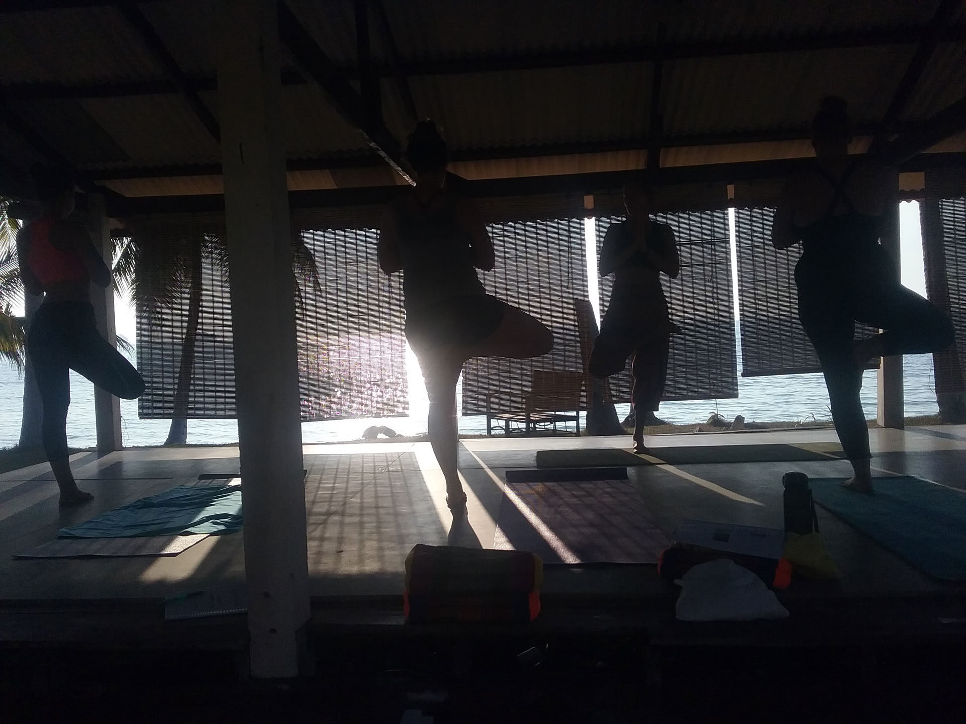 Formation de professeur de yoga de 200 heures