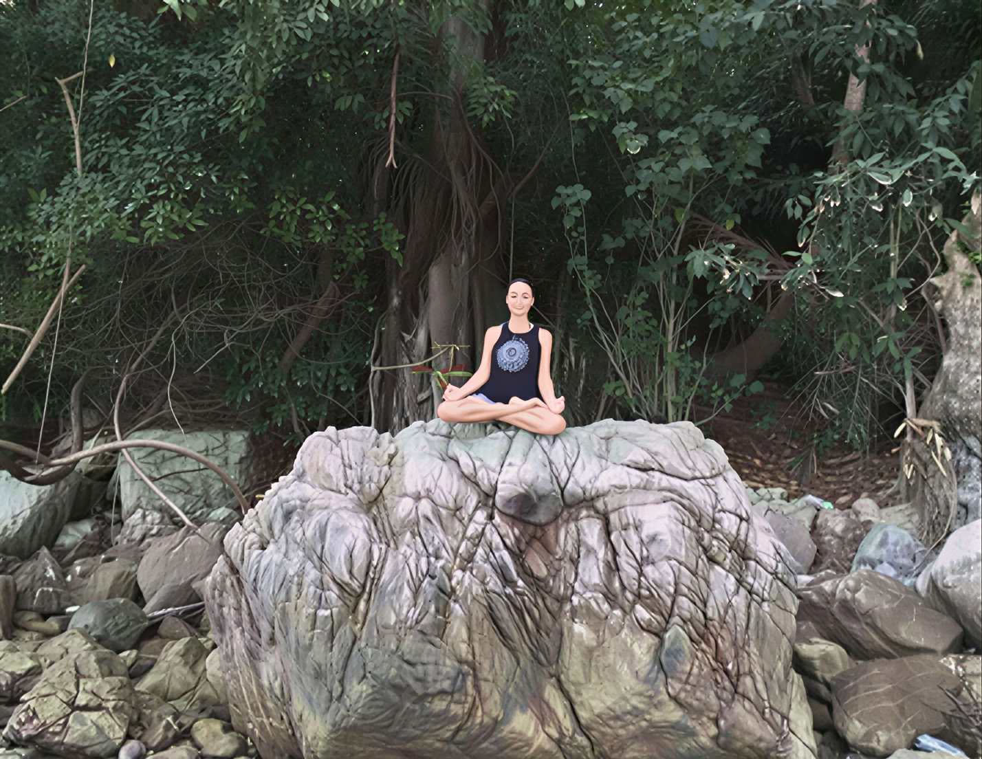 Formation de professeur de Hatha Yoga privée de 200 heures - 14 jours