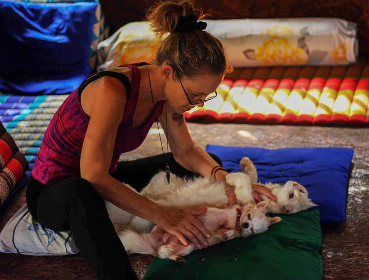 Guérison Reiki