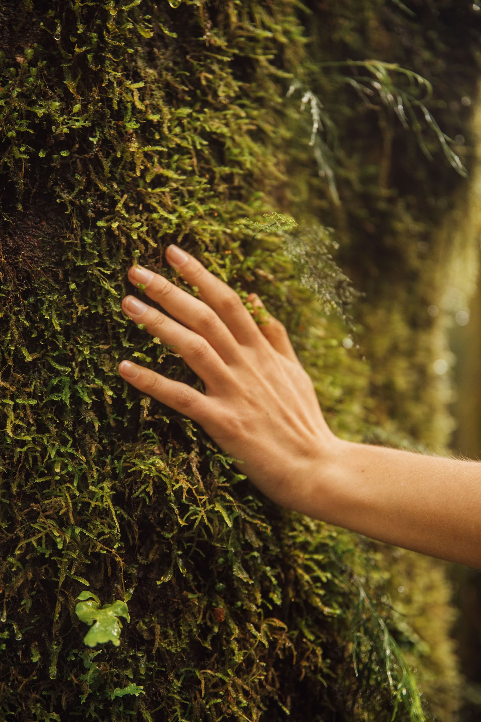 Se reconnecter avec la nature