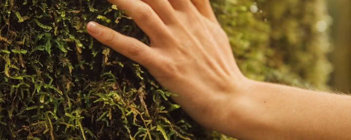 Se reconnecter avec la nature