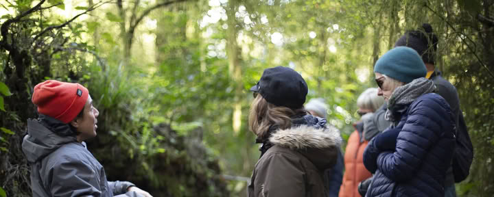 Retraite Nature et Yoga – Île du Sud, Nouvelle-Zélande avec Joan Hyman | Maruia River Retreat : complexe de bien-être de luxe en Nouvelle-Zélande