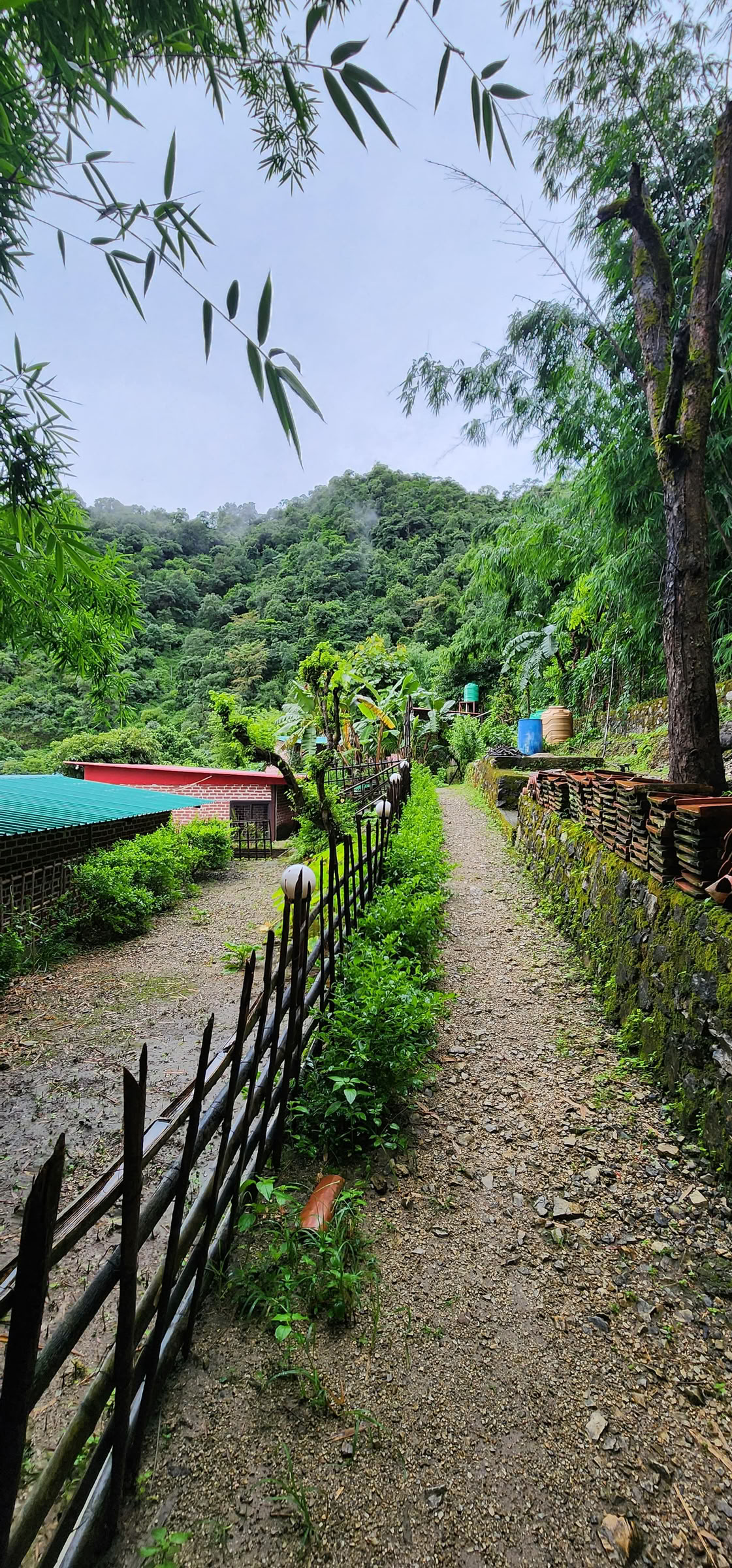 Retraite de 6 jours de lâcher-prise à Rishikesh