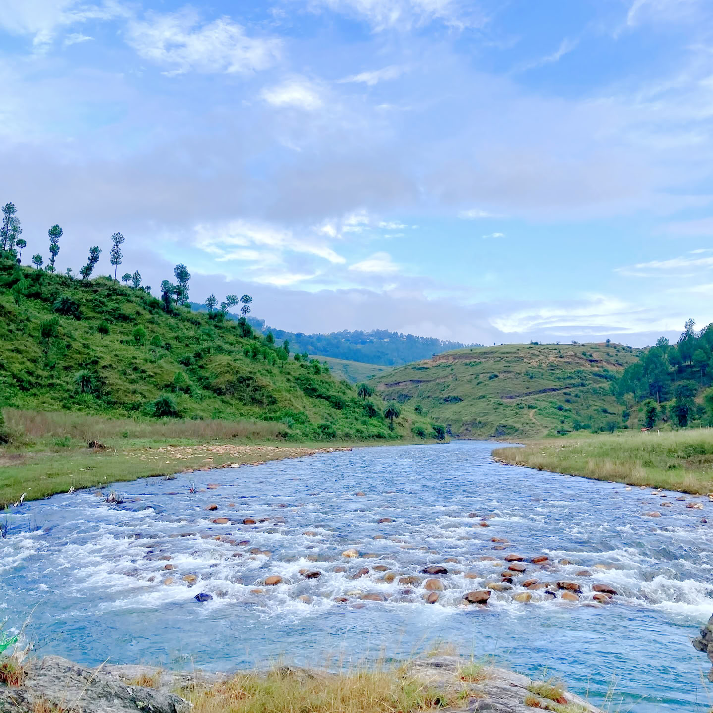 Retraite de 4 jours de silence au bord de la rivière himalayenne à Almora