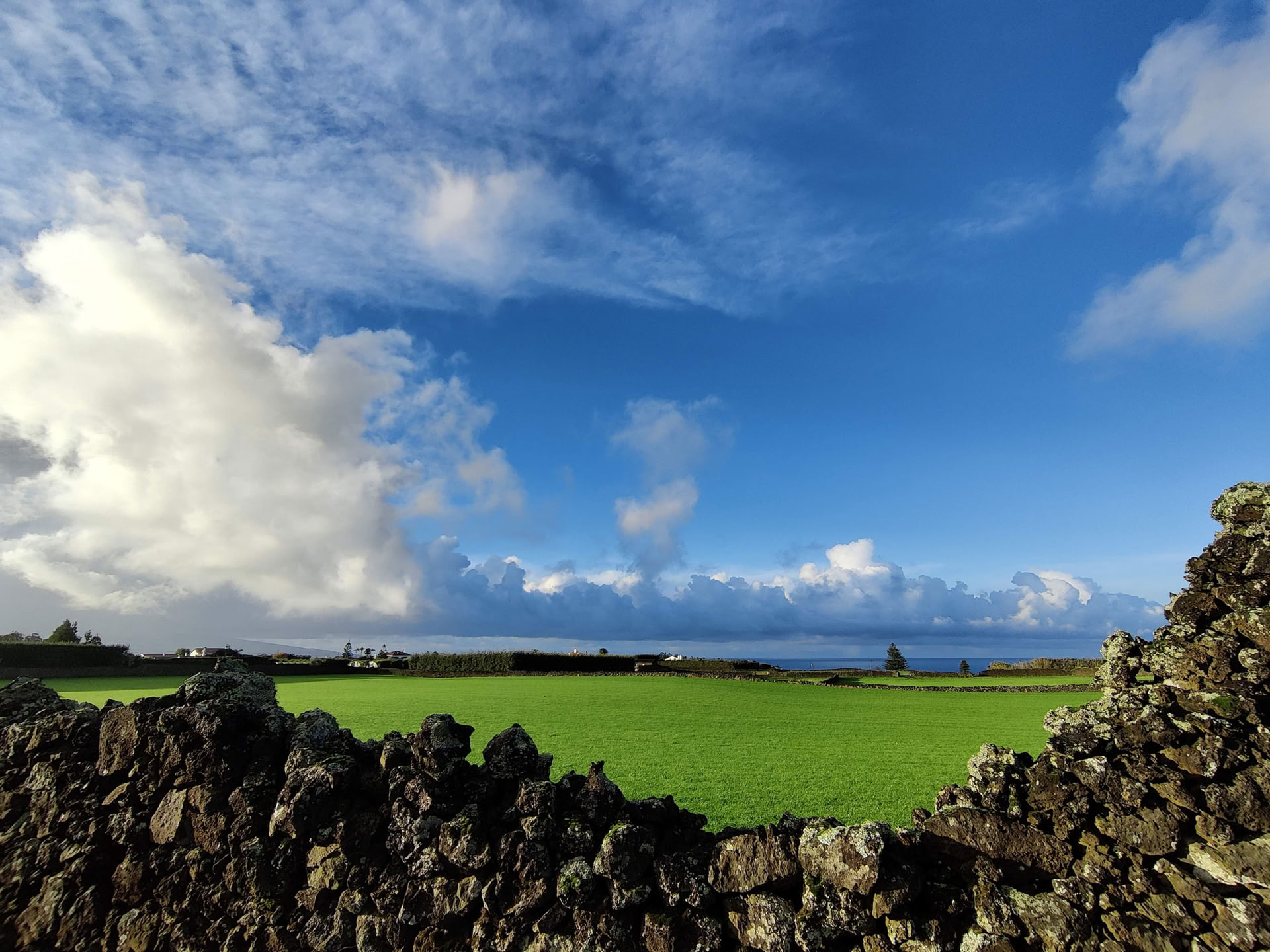 Immersez-vous dans MYMINUVIDA - MINUVIDA AZORES