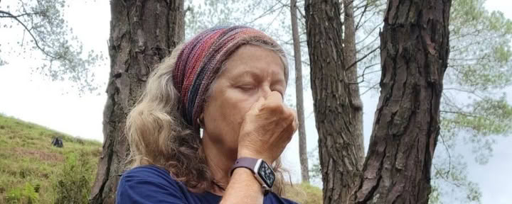 Se reconnecter à la nature et se réaligner : mini-retraite d’une journée