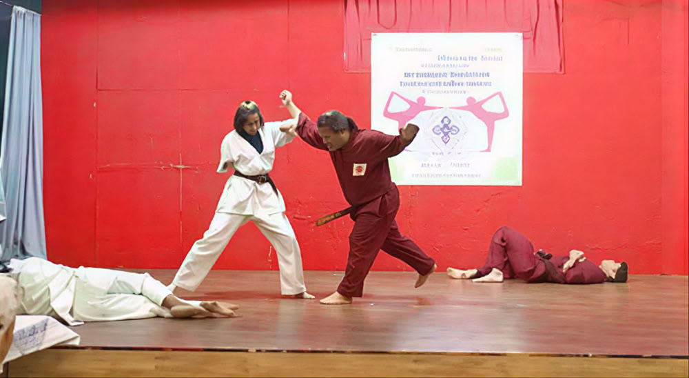 Cours d’arts martiaux Moxsh