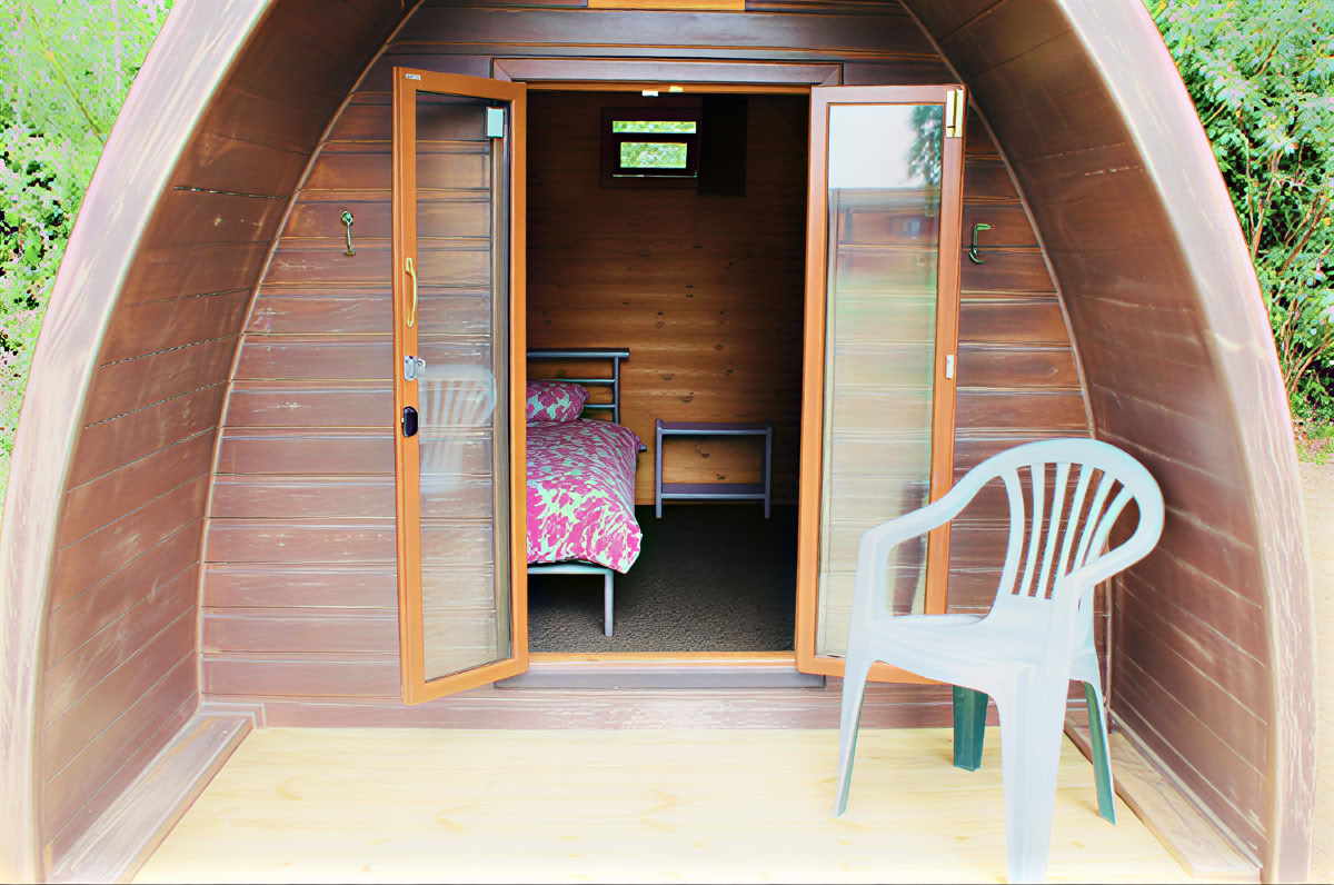 La série du chemin interdit – L’éveil de la femme sauvage