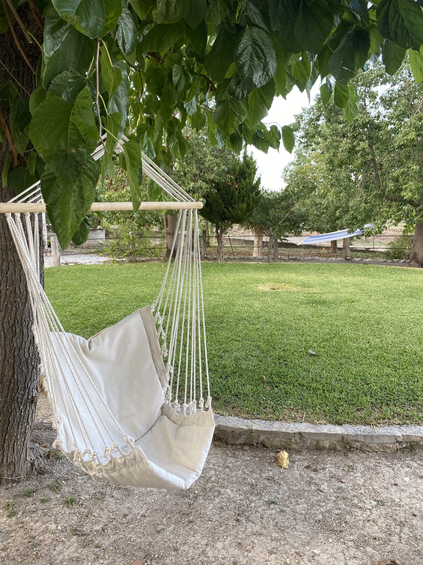 Formation de professeur en breathwork et pranayama niveau 1