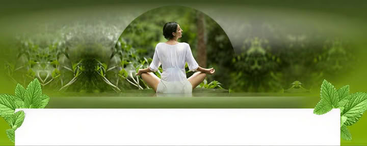 Formation de professeur Yoga Nidra de 200 heures et le secret ancien de la vie