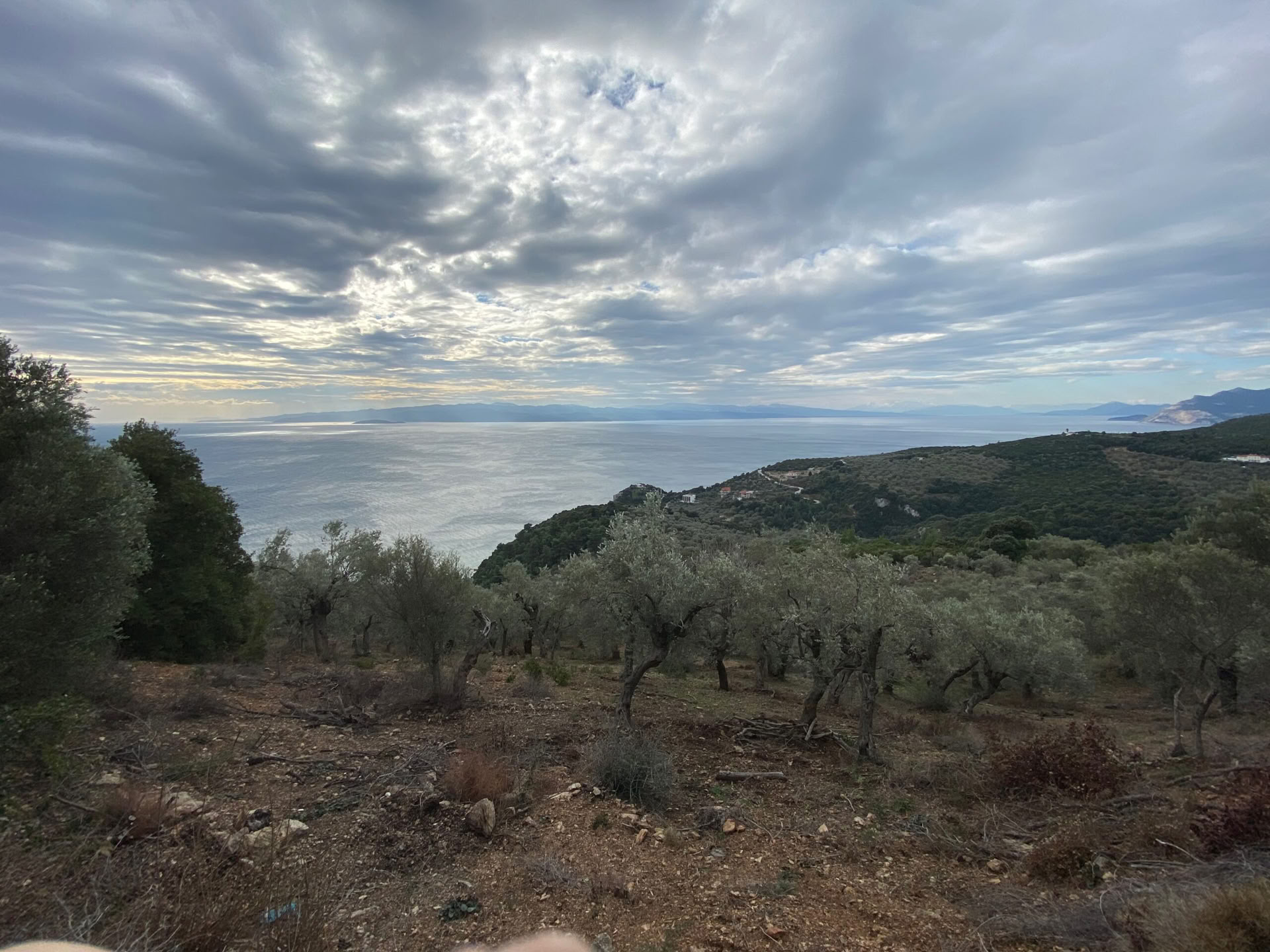 Silence de la récolte – Récolte d’olives en pleine conscience 2027