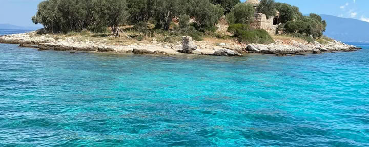 Récolte joyeuse des olives, automne 2026