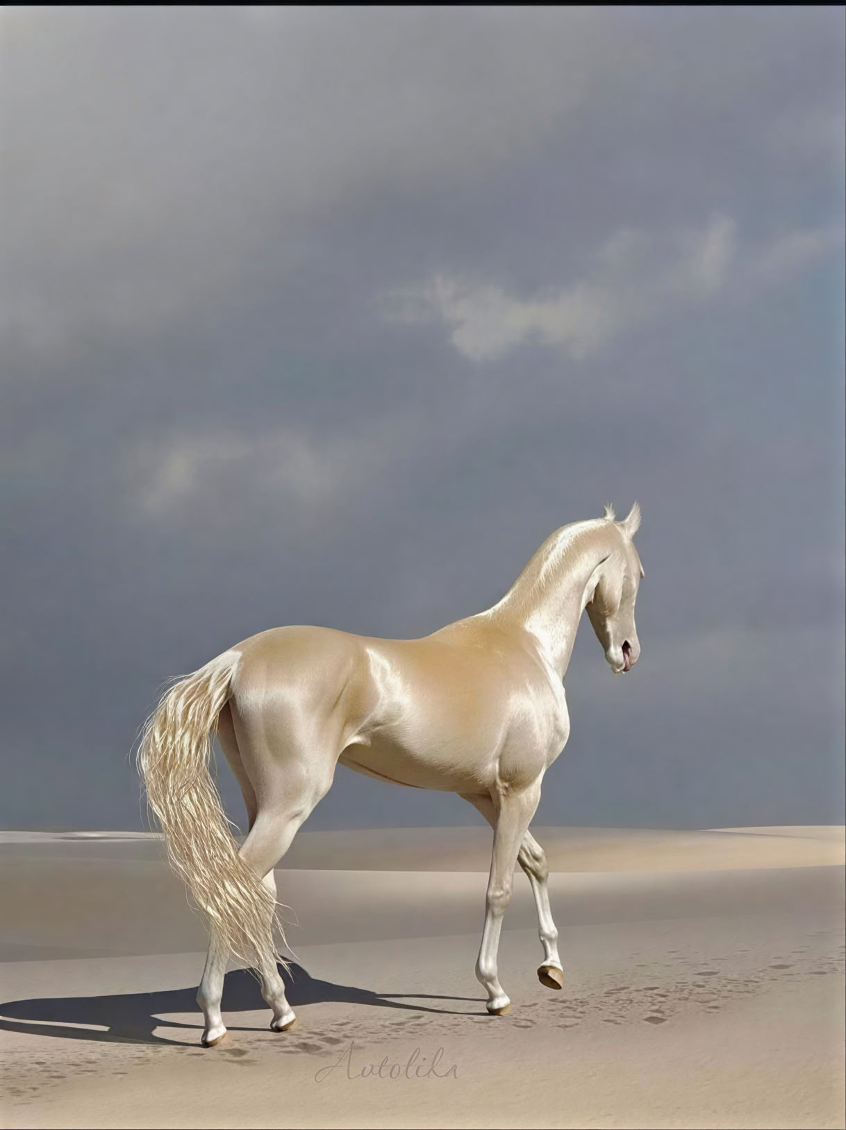 Année du Cheval – Récolte et libération