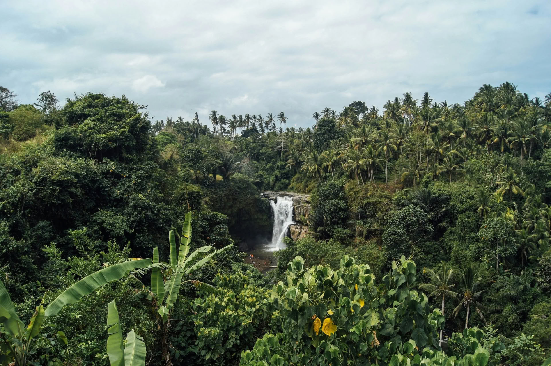 Bali hors des sentiers battus : journée tranquille dans l’Ouest