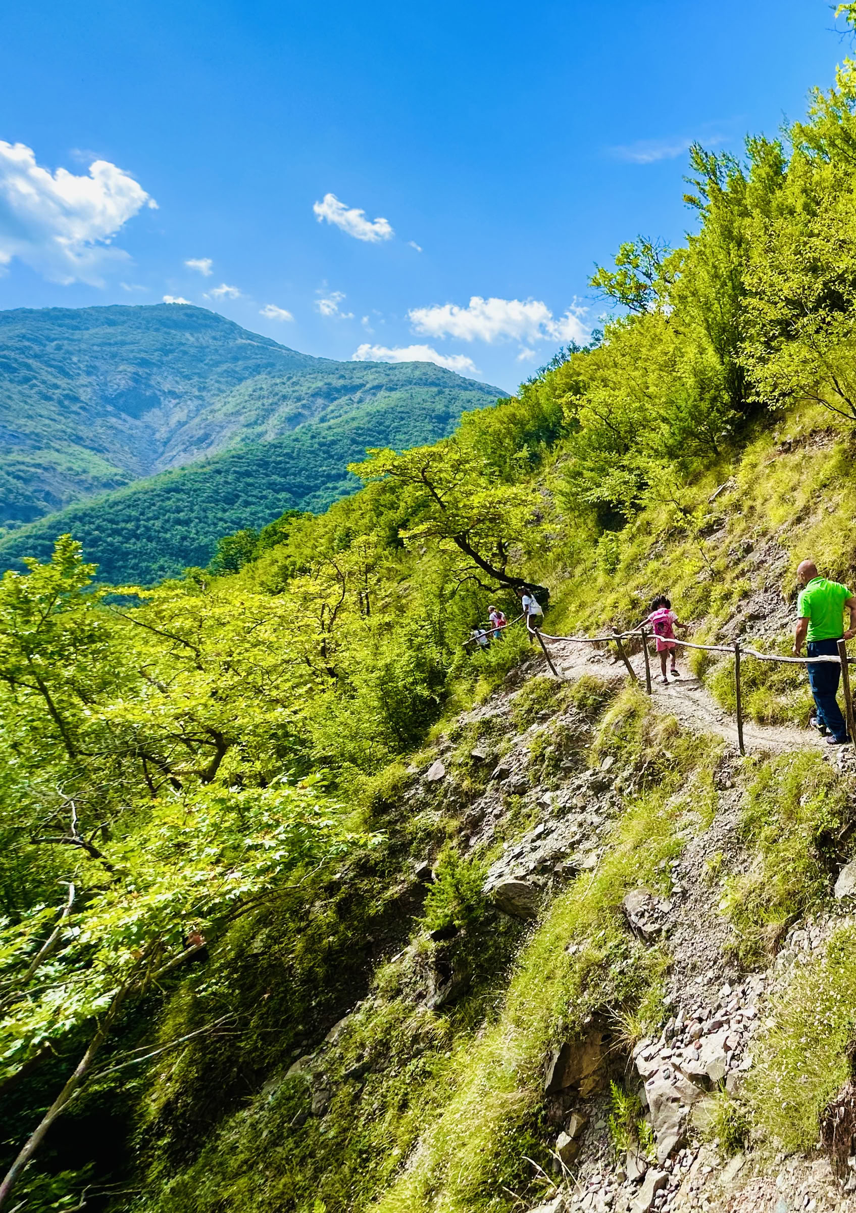 Énergie de la cascade : rechargez-vous et reconnectez-vous dans des paysages montagneux luxuriants
