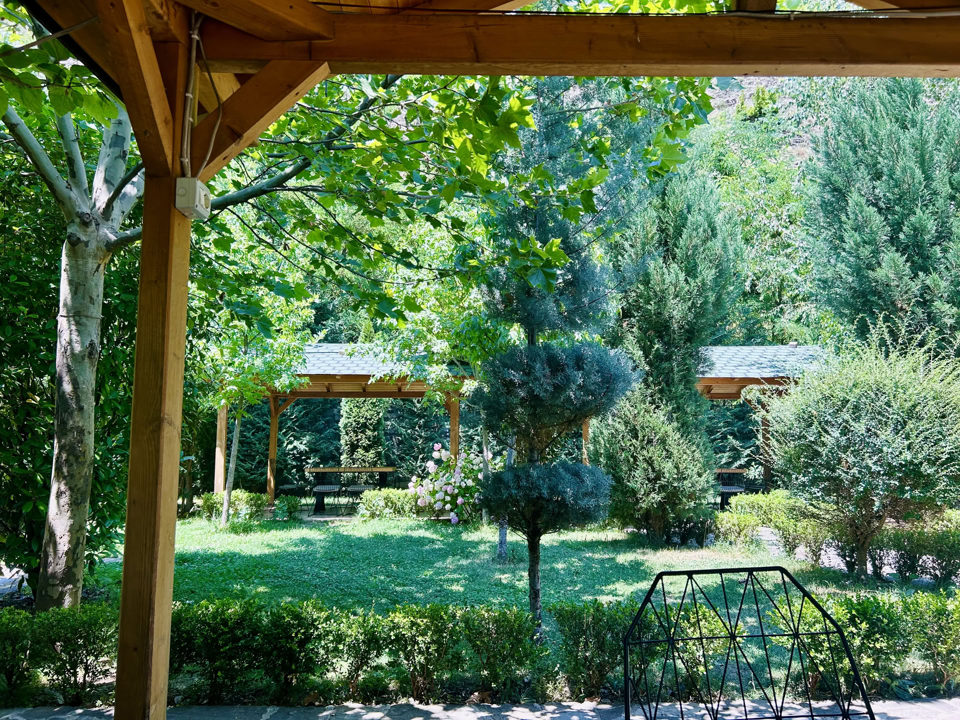 Énergie de la cascade : rechargez-vous et reconnectez-vous dans des paysages montagneux luxuriants