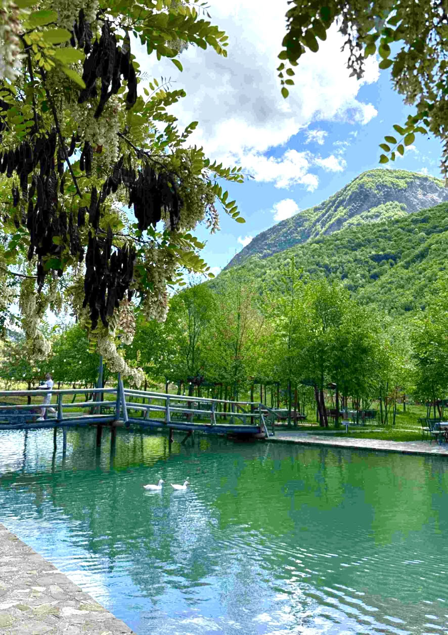 Énergie de la cascade : rechargez-vous et reconnectez-vous dans des paysages montagneux luxuriants