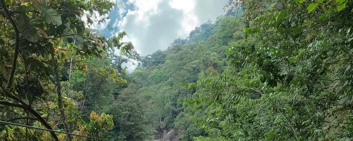 Tyrolienne sur le fleuve Pacuare