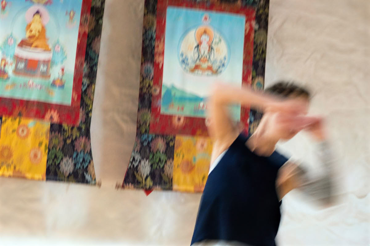 grue blanche déploie ses ailes : tai-chi, écriture et méditation
