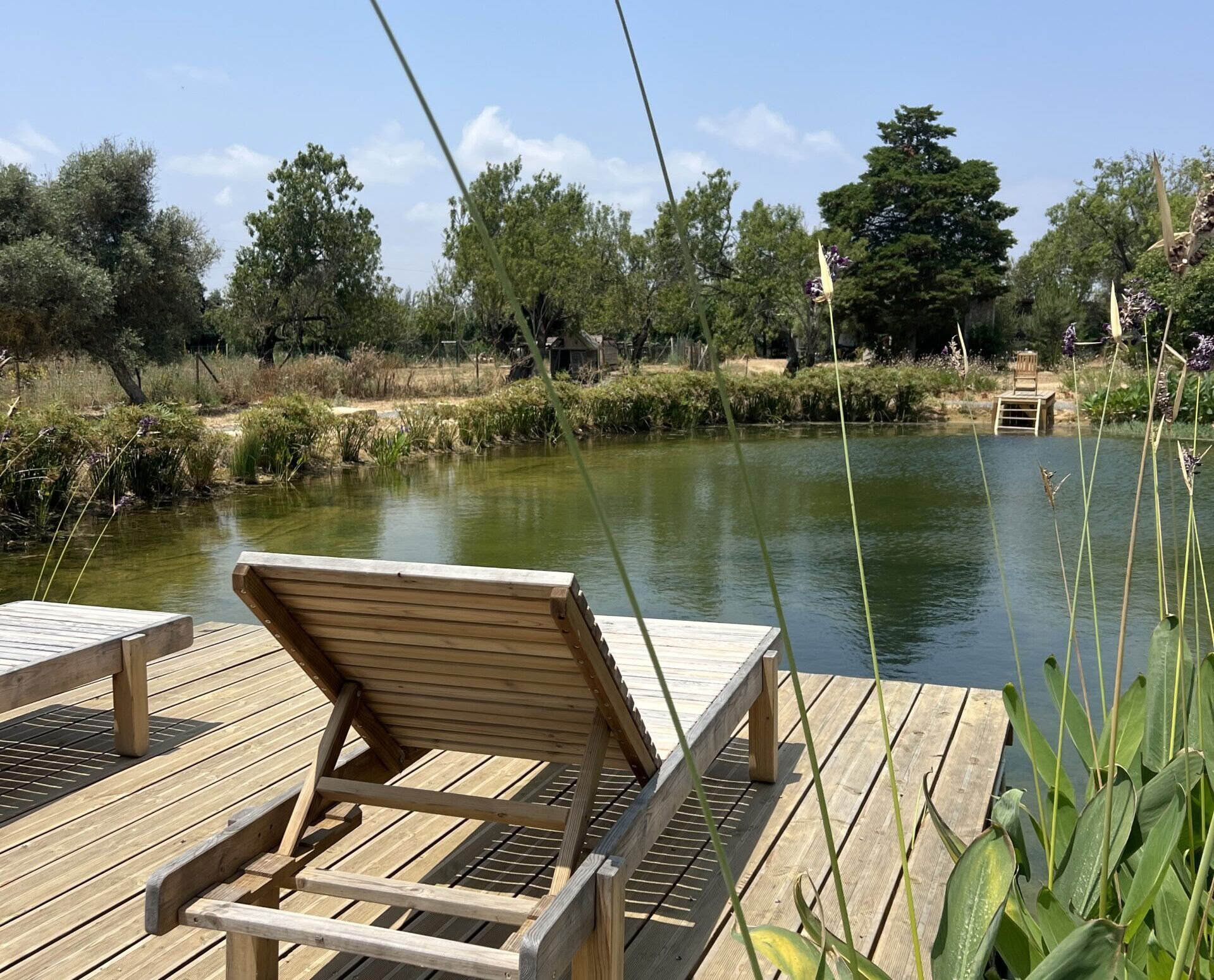 Retraite en Algarve : Trouver votre lumière intérieure