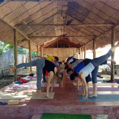 3 mois de cours de yoga quotidiens pour débutants