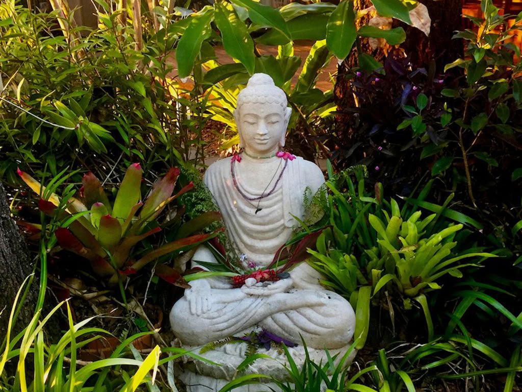 Retraite de méditation de pleine conscience