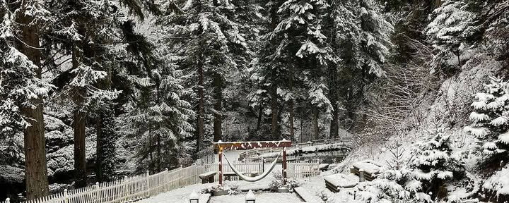 Retraite intensive de yoga et de bien-être dans les Alpes françaises