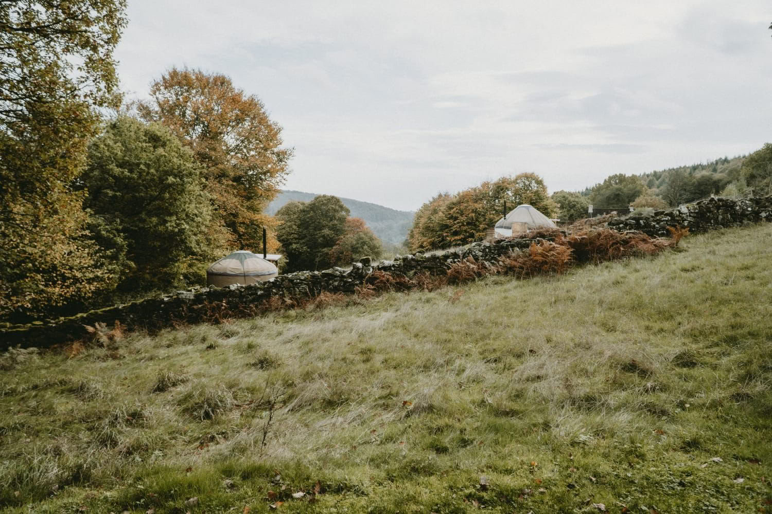 Retraite de yoga et de bien-être d’automne