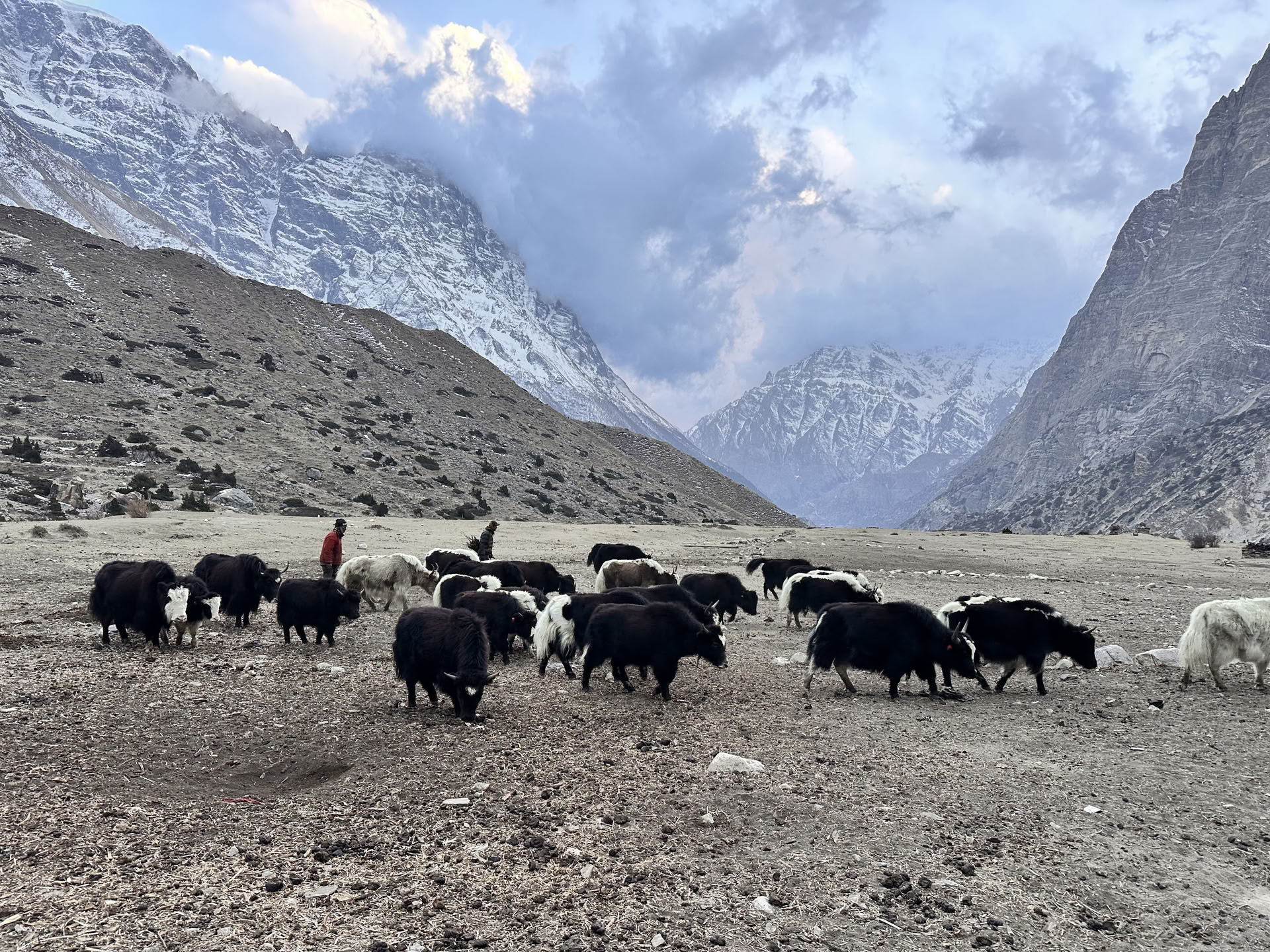 Trek de yoga sur le circuit de l’Annapurna avec le lac Tilicho
